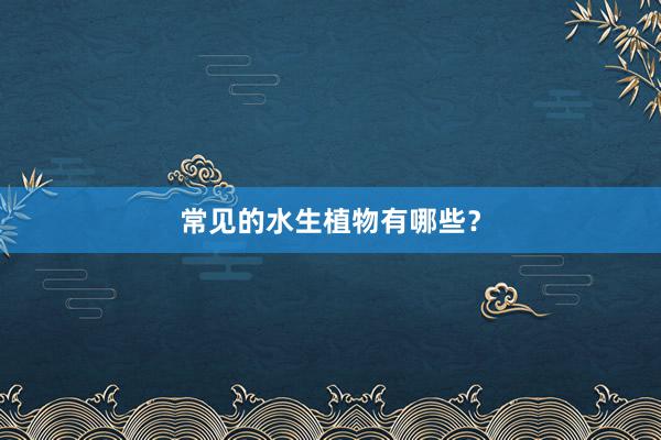 常见的水生植物有哪些？