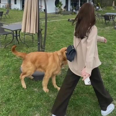 我的笋盘男友